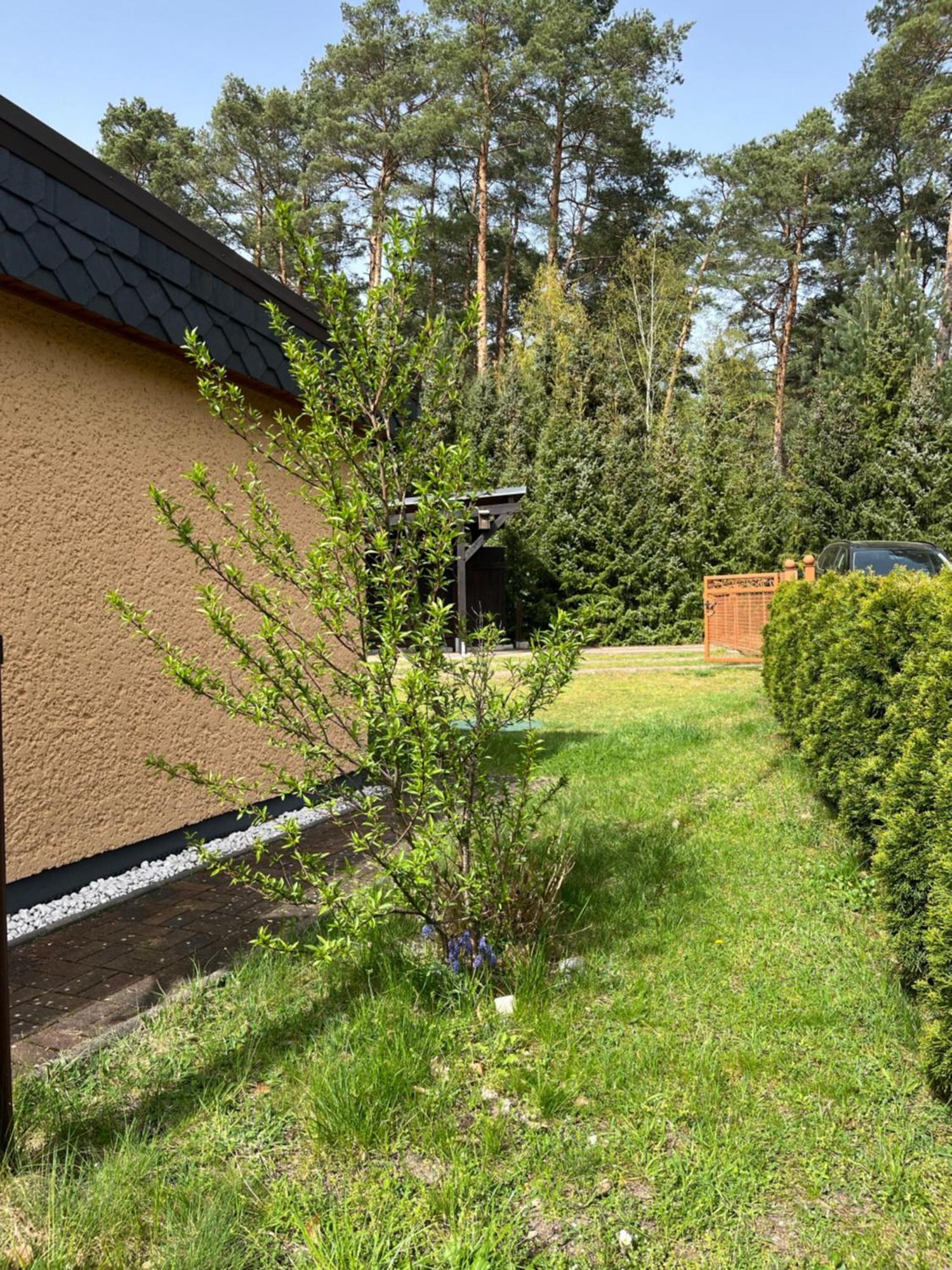 Ferienhaus Fjola Schenkendobern Ngoại thất bức ảnh